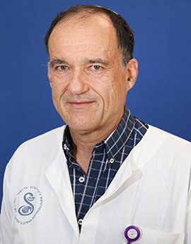 פרופ' צבי סיימון